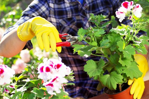 Gardener preparing tools at the start of a Wood Green garden job