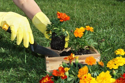 Accessible website layout showcasing garden services information