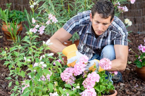 Supervisor reviewing garden maintenance notes